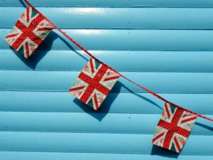 bunting on blue background